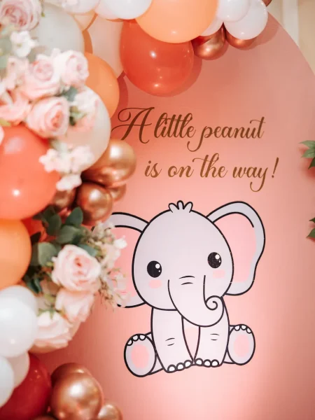 themed baby shower decor